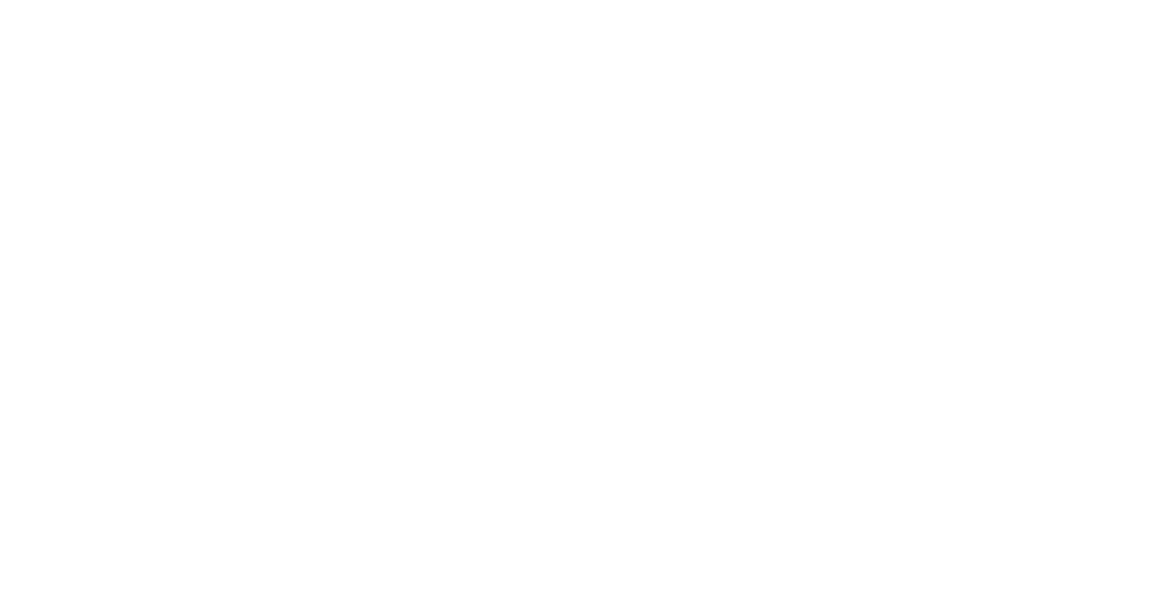 Xella Holcim logo